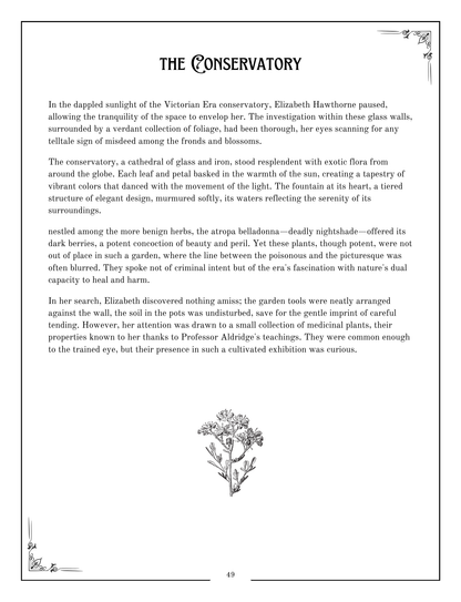 Society of Shadows – Victorian Detective Coloring Book
